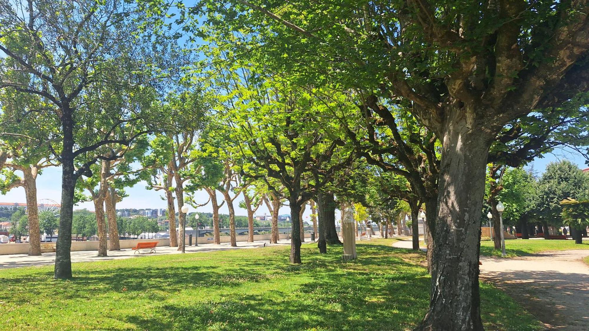 קוימברה Vinum Apartamentos 1890 מראה חיצוני תמונה